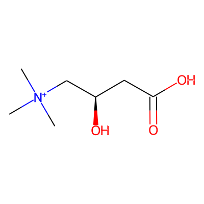 LEVOCARNITINE
