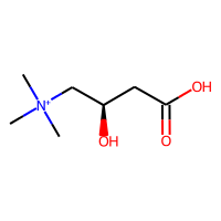LEVOCARNITINE